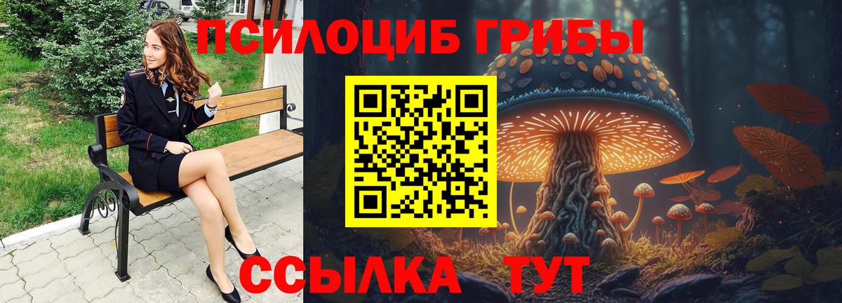 наркотики  Псилоцибиновые грибы GOLDEN TEACHER  Вход с VPN  Рассказово 