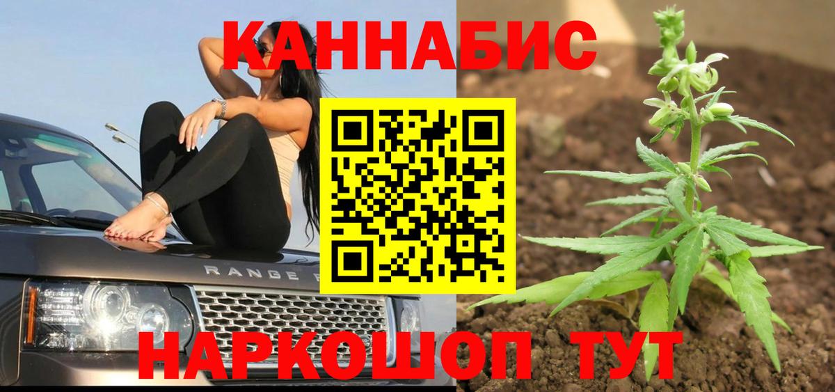 Каннабис White Widow  Конопля ГИДРОПОН  МАРИХУАНА семена  Шишки марихуана SATIVA & INDICA  Вход с VPN  Рассказово 